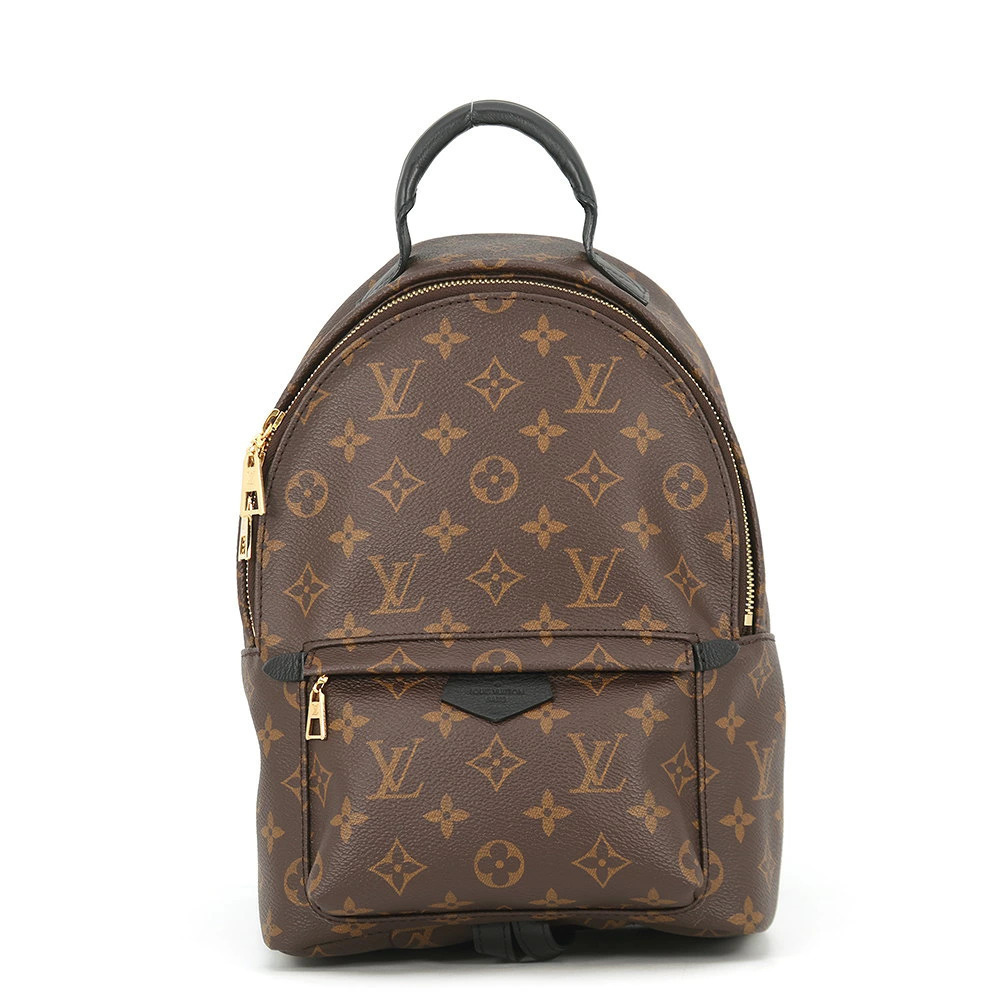 Louis Vuitton Palm Springs Backpack Bag